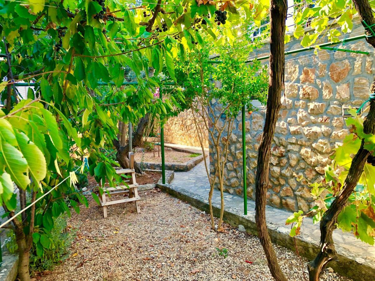 Villa Dinastija Kali Exterior foto